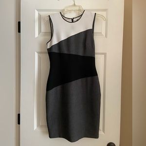 White House Black Market Shift / Sheath Sleeveless Dress Size 2